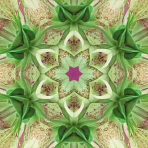 Meet your Posher, Kessy